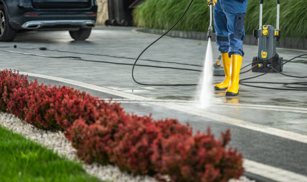 Best Building Exterior Washing  in Bodega Bay, CA